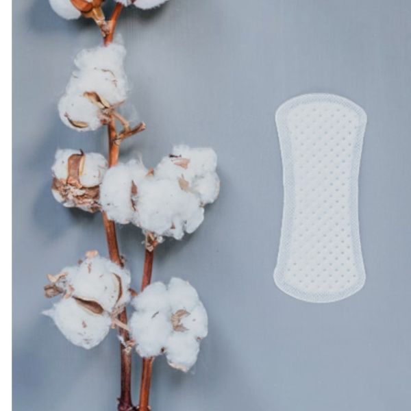 Anatomical Panty Liners